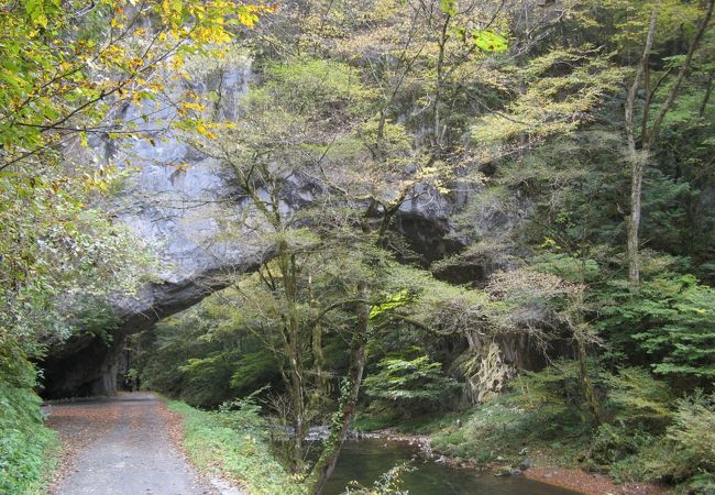 比婆道後帝釈国定公園 クチコミ アクセス 営業時間 帝釈峡 比婆山 神石高原 フォートラベル