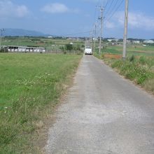 まさにシュガーーロード、サトウキビ畑の道です