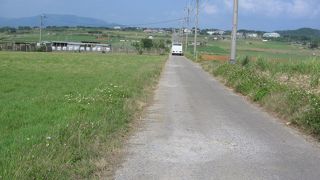 砂糖の道とはサトウキビ畑の中にあるからなんですね