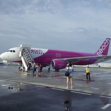 激安ならば選択はコレですな