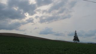 思ったより…かも(笑)