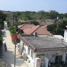 高い位置から引いて見た集落です