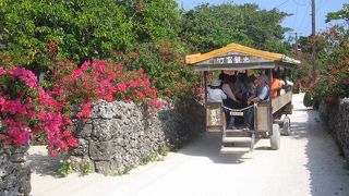 赤瓦集落の代表です