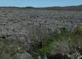 アンカラナ国立公園