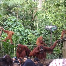 記念撮影タイム