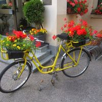 花を積んだかわいい自転車