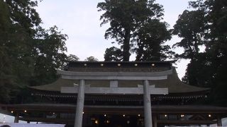 緑に囲まれた神宮