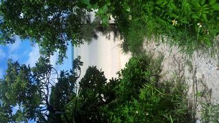 透明度が高い！