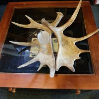 ヘラジカの角を加工した灰皿