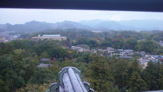 本物は違います