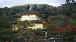 黄金の光は眩いです