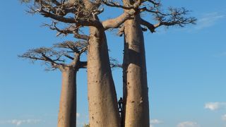 子ども達の姿も印象的でした