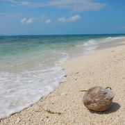2014年８月　湾曲した長い長い砂浜　椰子の実も流れ着きます