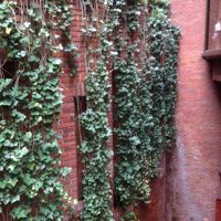 この壁に水が流れていて滝のような音がしています。