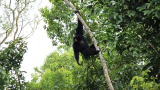 こんなに近くていいの