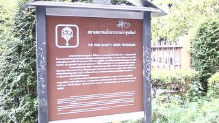 見つけにくい穴場のミュージアム