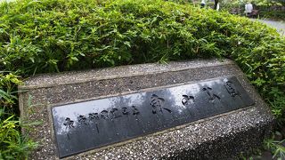 集合住宅の中の緑