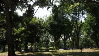 とにかく大きな公園です