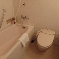 必要十分というかんじのバスルーム