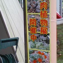 温室の前です。