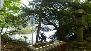 神秘的な雰囲気です