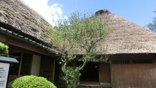 見応えのある庭園