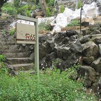 伊豆高原 癒しの薫りと美肌の湯 Dog PENSION R65 写真