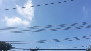 プールもある広い公園