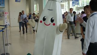 函館市内をパノラマで一望