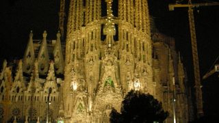 ちょっと離れた池の前が撮影のベスポジ