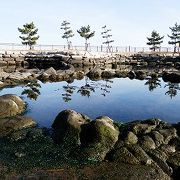 景色も素晴らしく、野鳥もたくさんいます。