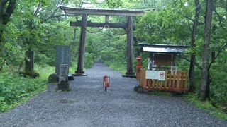 戸隠来たならそばと神社！