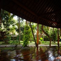 ガーデンが気持ち良い！