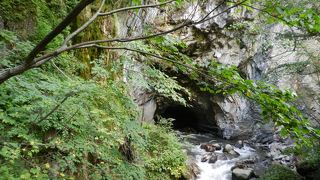 自然のトンネル