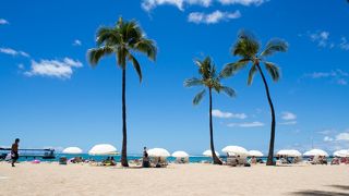 いろんな色のビーチパラソル！ワイキキビーチの散歩と風景