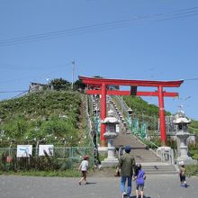 7月の蕪島神社