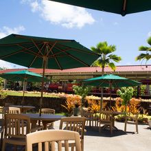 パイナップル列車の駅