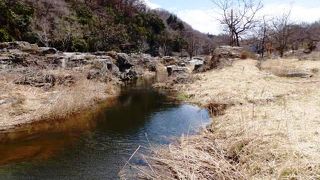 供養の灯ろうが流される長瀞船玉祭