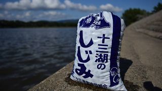 しじみたくさんとれますよ～