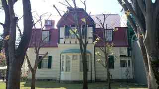 広いです。見ごたえあり！