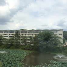 ホテルから見た千秋公園のお堀。