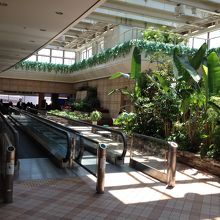 グリーンがたくさんあります