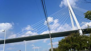 テンポウザンオオハシ