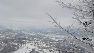 広いスキー場です