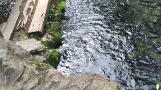 こじんまりした牧場