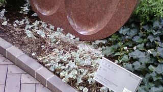 大都会のオアシス