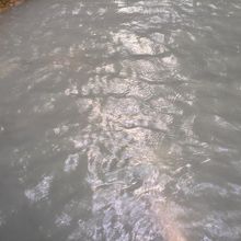 白濁の硫黄温泉