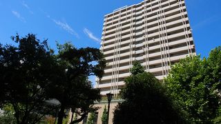 ビルに囲まれた緑のスポット