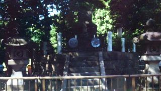 西郷さんの後ろ