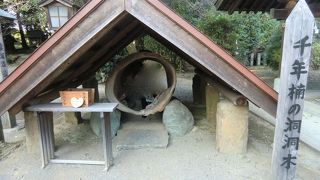 コノハナサクヤ姫命が祭神。大きなクスノ木と輪くぐりにも注目